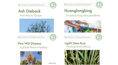Front covers of BSPP plant pandemic reports