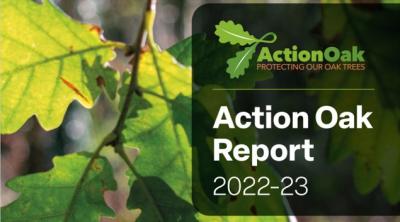 Action Oak Report 22-23 front cover 