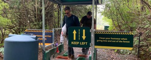 Boot washing station to protect Kauri Forest in New Zealand from Phytophthora agathidicida