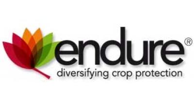 Image of Endure logo