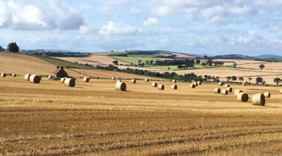 Arable field with hay bales Arable field with hay bales