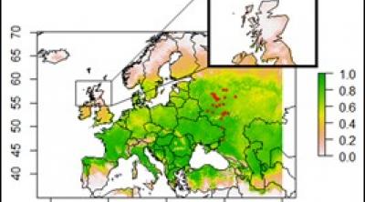 EAB suitability scores: – colour scale represents suitability (green: high, white: low) and red dots represent known occurrence (2018-19) EAB suitability scores: – colour scale represents suitability (green: high, white: low) and red dots represent known occurrence (2018-19)