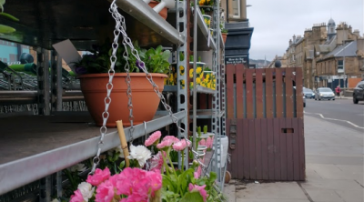 Plants on sale at a retail store 2021, courtesy of Chris R J Pollard Plants on sale at a retail store 2021