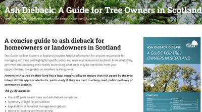 Screengrab of Tree Council website ash dieback guide