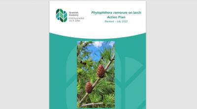 Front cover of Phytophthora ramorum on larch action plan document