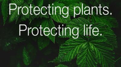 Protecting plants, Protecting life