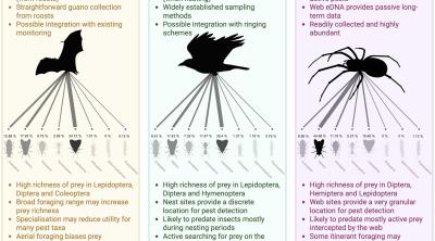 Predator Diet Diagram