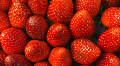 Bunch of Strawberries by ZaiB Tse on Unsplash