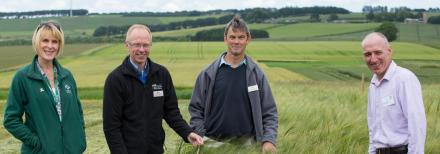 Image at Cereals in Practice