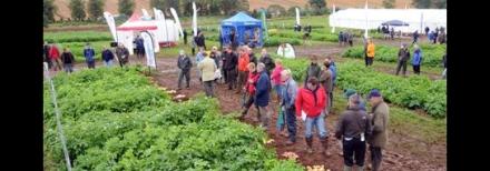 Potatoes in Practice delegates at the event 