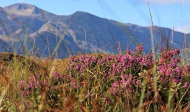 Scottish hills