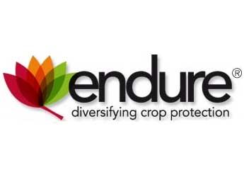 Image of Endure logo