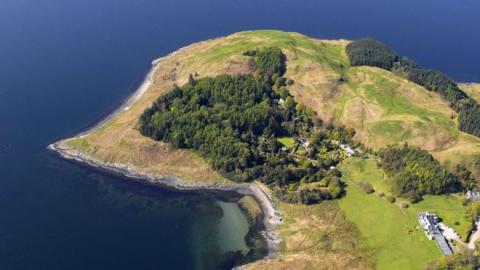 Image of Japanese larch in Argyll
