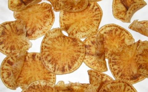 Image of potato slices with zebra chip