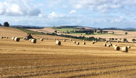 Arable field with hay bales Arable field with hay bales