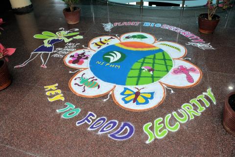 Plant Health mural on floor in Hyderabad