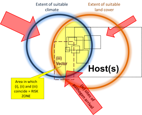 Mapping Approach Used Mapping Approach