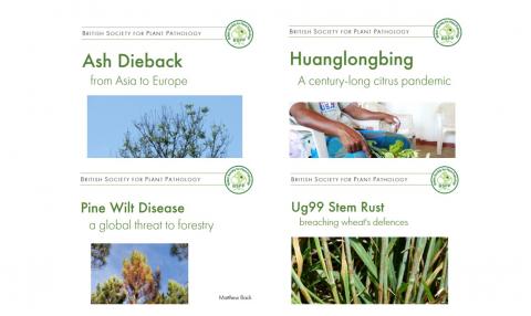 Front covers of BSPP plant pandemic reports
