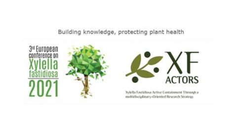 Logos of conference and XF-ACTORS