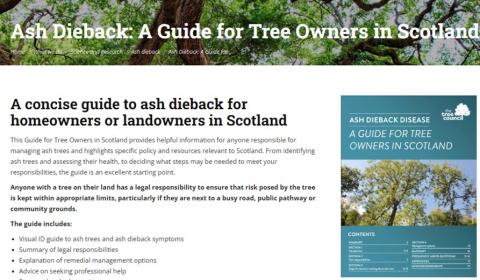 Screengrab of Tree Council website ash dieback guide