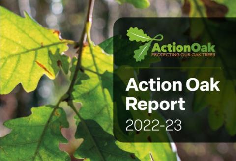 Action Oak Report 22-23 front cover 