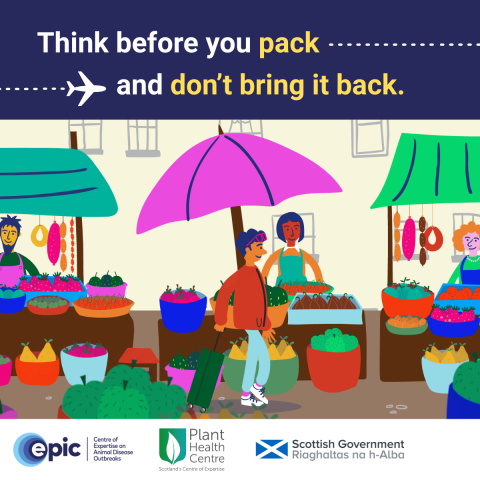 Think before you pack