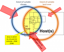 Mapping Approach