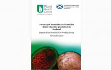 Report front cover Report front cover