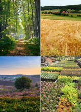 Lanscapes Landscapes