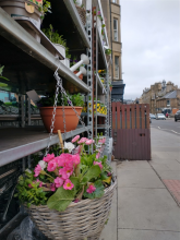 Plants on sale at a retail store 2021