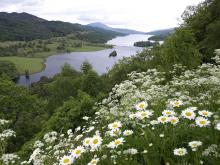Scotland Landscape Scotland Landscape