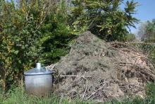 compost - Image by J Garget from Pixabay compost - Image by J Garget from Pixabay
