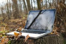 laptop in wood