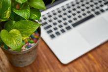 computer with plant computer with plant
