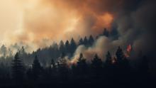 forest fire Image by Vlad Aivazovsky from Pixabay forest fire Image by Vlad Aivazovsky from Pixabay