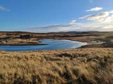 Photo of river and grass by Matt Elliot