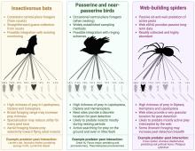 Predator Diet Diagram