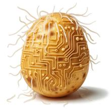 Generated Image of potato with PCN and circuitry 