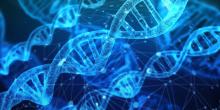 DNA Image by Gerd Altmann from Pixabay