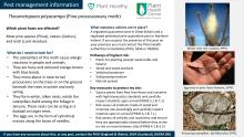 Pest Management Information sheet for Pine Processionary Moth