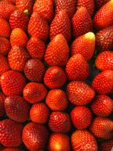 Bunch of Strawberries by ZaiB Tse on Unsplash