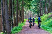 Image of mountain bikers in a forest by MaBraS from Pixabay