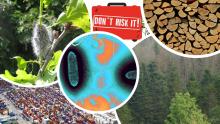 Biosecurity image collage