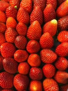 Bunch of Strawberries by ZaiB Tse on Unsplash