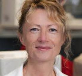 Image of Karen Halliday