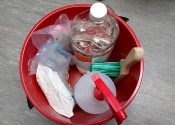 pail holding cleaning brushes and disinfectant